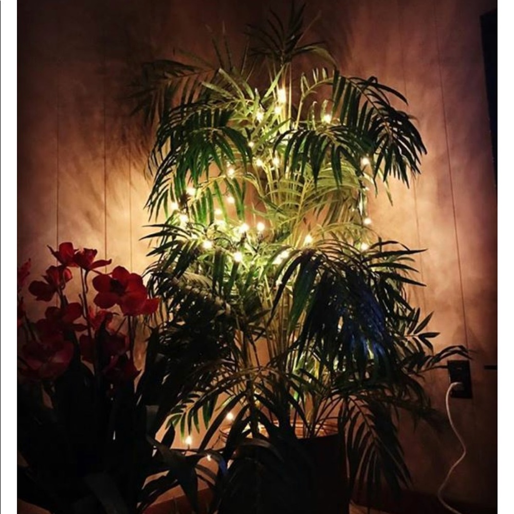 Meet your Posher, Sandy